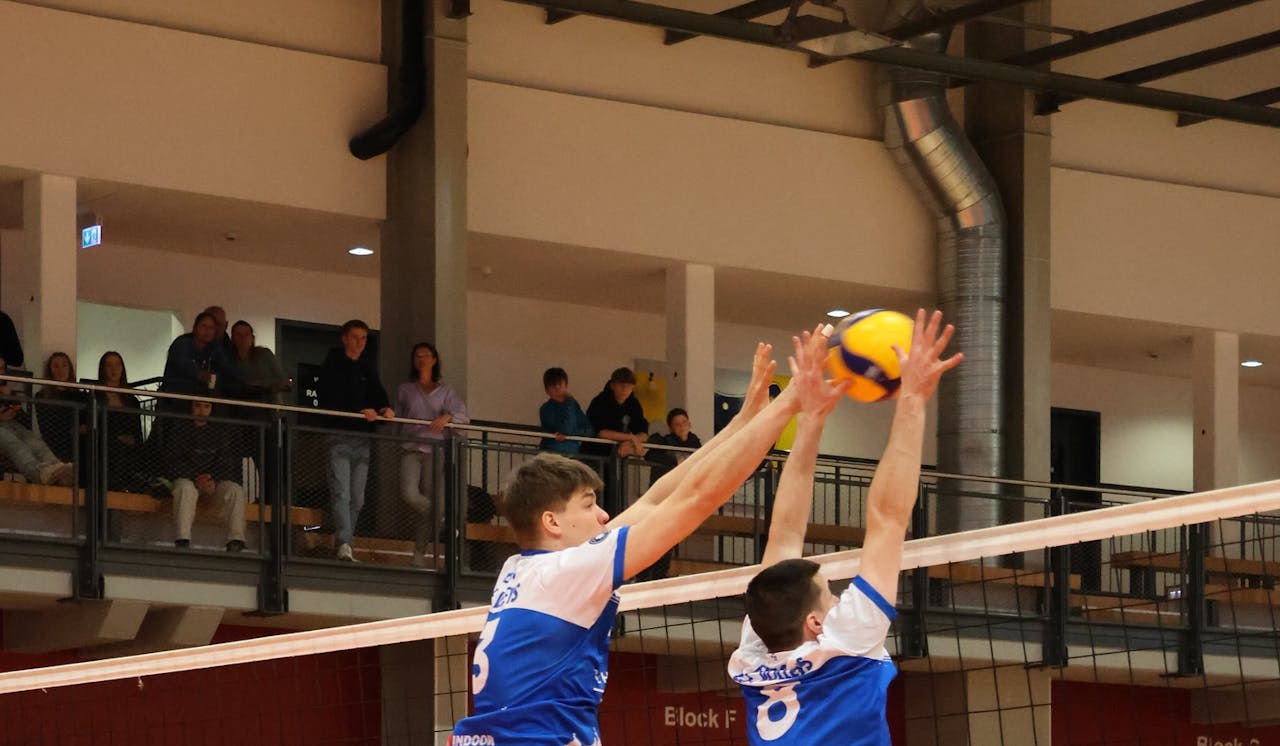L.E. Volleys unterliegen Barock Volleys Foto: Miria Trexler L.E. Volleys unterliegen Barock Volleys - Foto: Miria Trexler