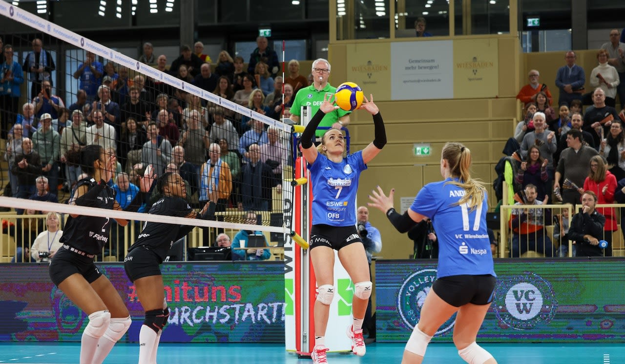 Läuft! Vierter 3:0-Sieg des VCW in Folge Foto: Detlef Gottwald | www.detlef-gottwald.de Läuft! Vierter 3:0-Sieg des VCW in Folge - Foto: Detlef Gottwald | www.detlef-gottwald.de