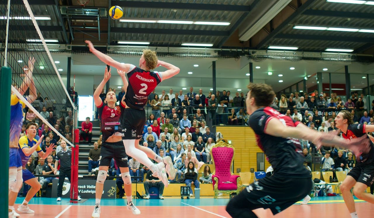 Barock Volleys reisen nach Haching - Foto:  Anselm Berg
