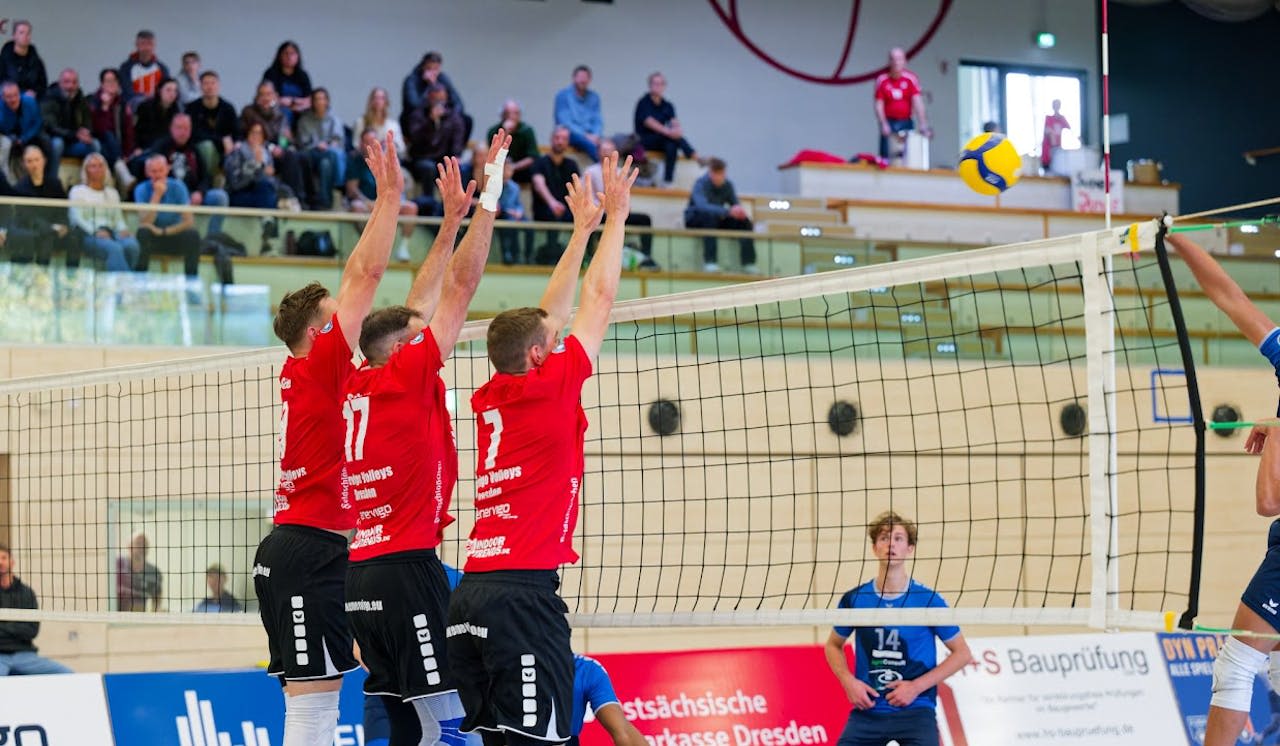 Spitzenreiter Rottenburg zu Gast in Dre - Foto:  VC Dresden/Frank Kleinert