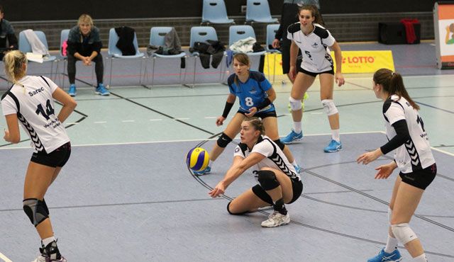 Keine Punkte fürs Volleyball-Team Hamburg Foto: VTH/Lehmann Keine Punkte fürs Volleyball-Team Hamburg - Foto: VTH/Lehmann