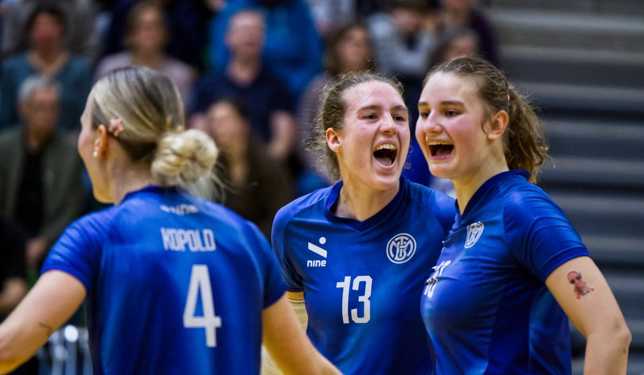 vier Punkte zu Weihnachten - Foto:  Jessica Weber