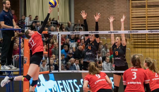NawaRo Straubing ist heiß auf das erste Heimspiel des Jahres Foto: Schindler NawaRo Straubing ist heiß auf das erste Heimspiel des Jahres - Foto: Schindler