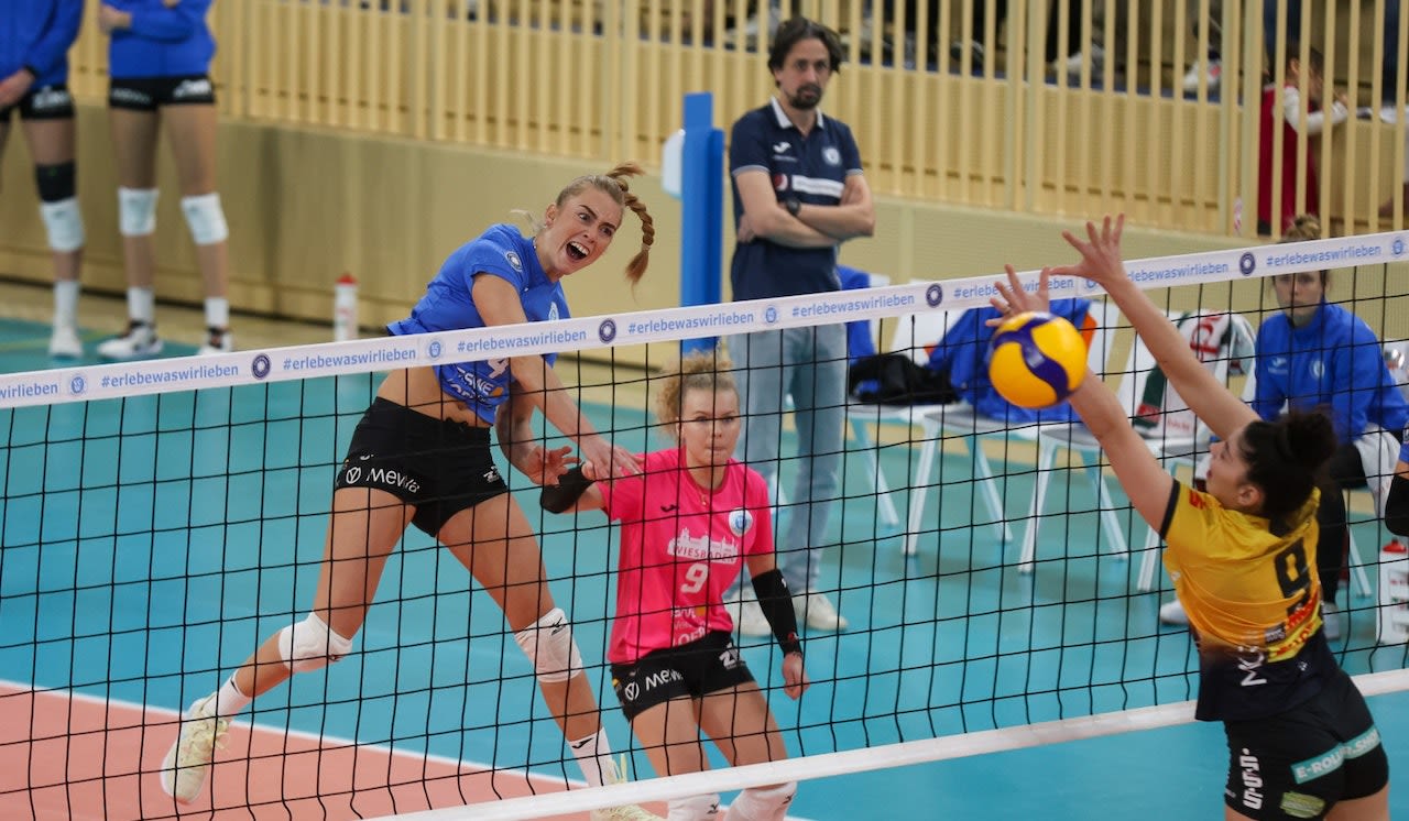 VCW wieder 3:0! Arbeitssieg gegen Suhl Foto: Detlef Gottwald | www.detlef-gottwald.de VCW wieder 3:0! Arbeitssieg gegen Suhl - Foto: Detlef Gottwald | www.detlef-gottwald.de