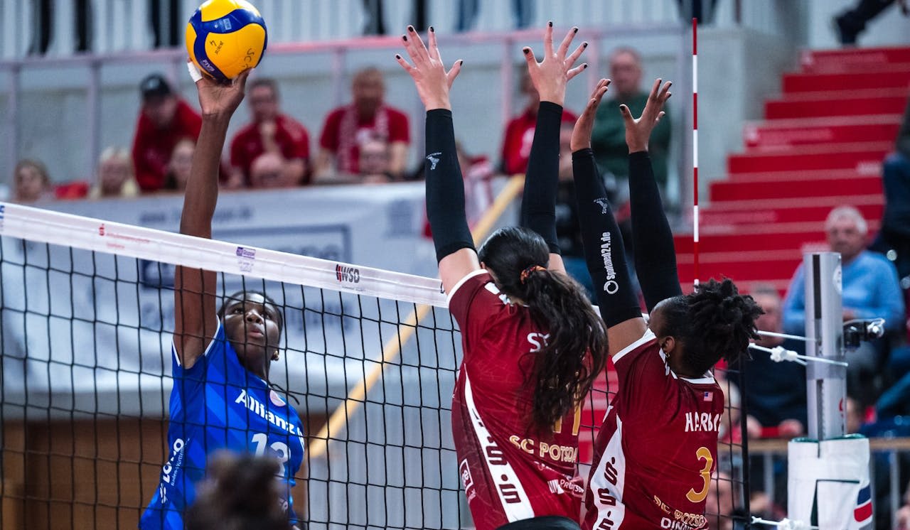 Stuttgart zu stark für Potsdam Foto: Nicol Marschall Stuttgart zu stark für Potsdam - Foto: Nicol Marschall