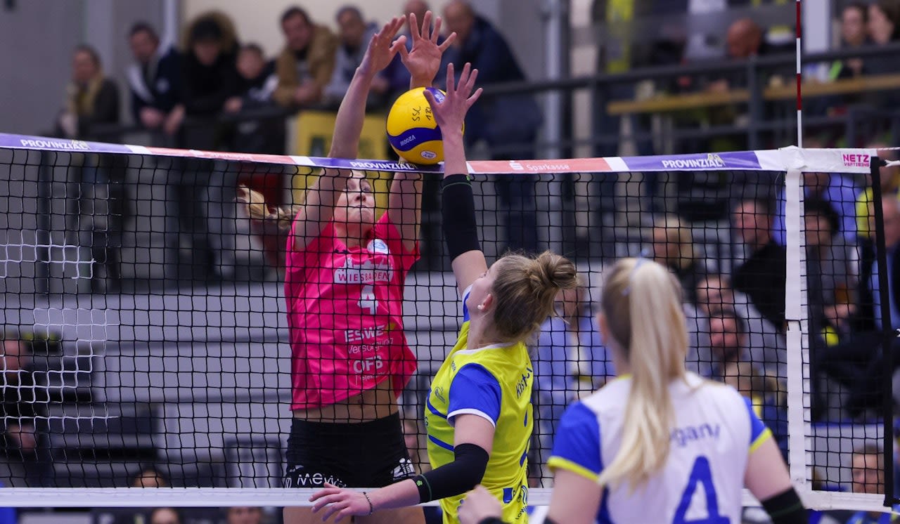 VCW: Trotz 0:3 auf Augenhöhe mit Schwerin Foto: Detlef Gottwald | www.detlef-gottwald.de VCW: Trotz 0:3 auf Augenhöhe mit Schwerin - Foto: Detlef Gottwald | www.detlef-gottwald.de