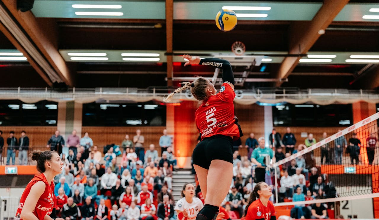 BF Volleys empfangen Altdorf - Foto:  Pascal Bähr