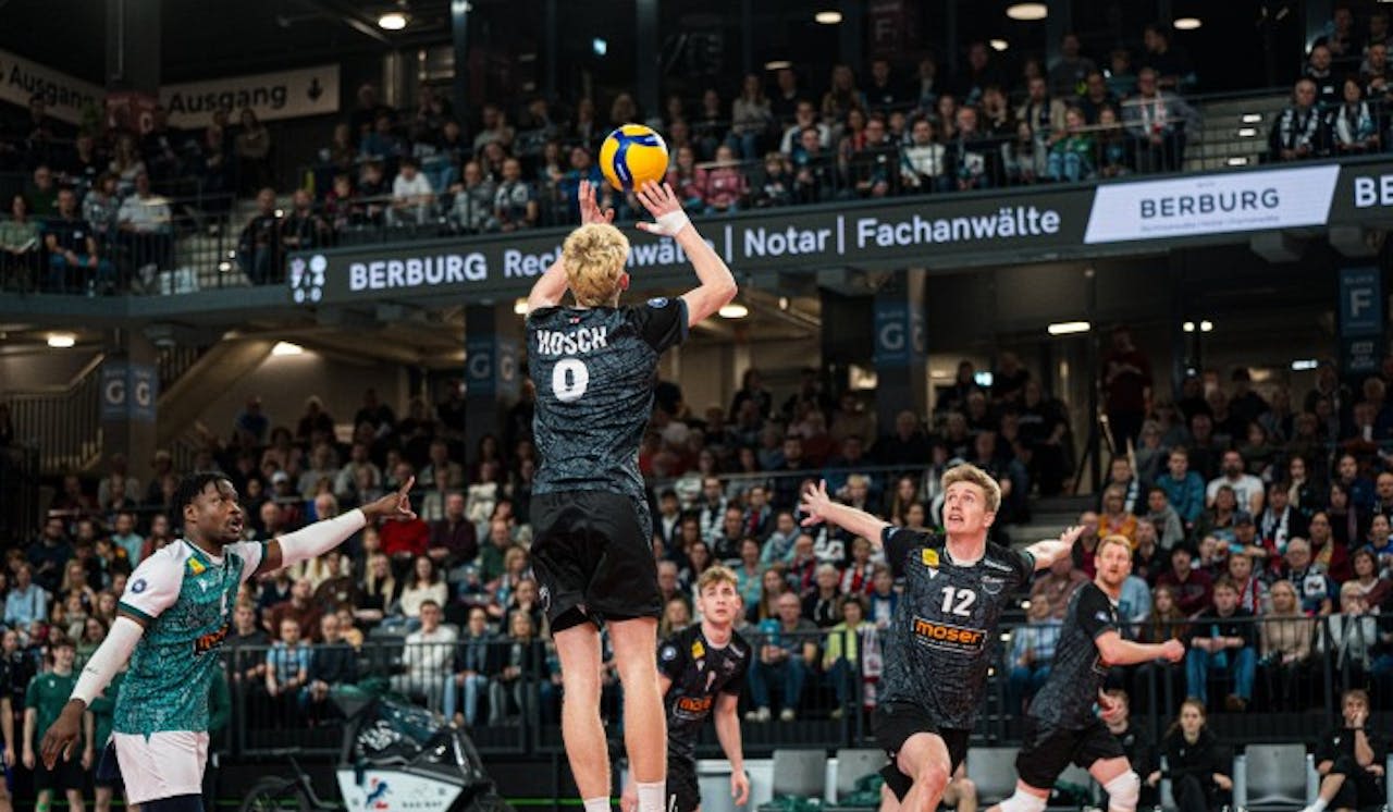 Affen machen es Hünen schwer - Foto:  contrastzero media