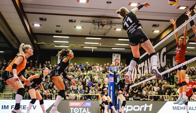 Aachen erwartet gespannt den Dresdner SC Ladies in Black Aachen\\ Luz Müller Aachen erwartet gespannt den Dresdner SC - Ladies in Black Aachen\\ Luz Müller