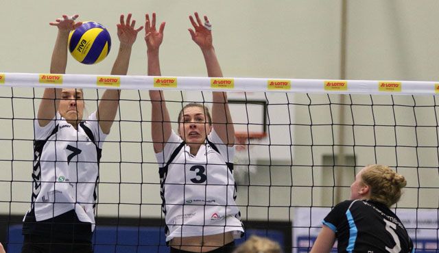 Volleyball-Team Hamburg zu Gast bei Blau-Weiß Dingden - Foto: VTH