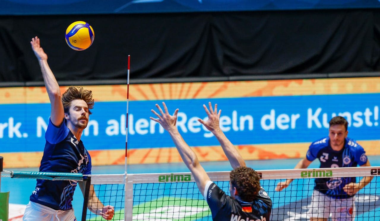 Duell der "Golden Setter" - Foto:  Alexander Hoth