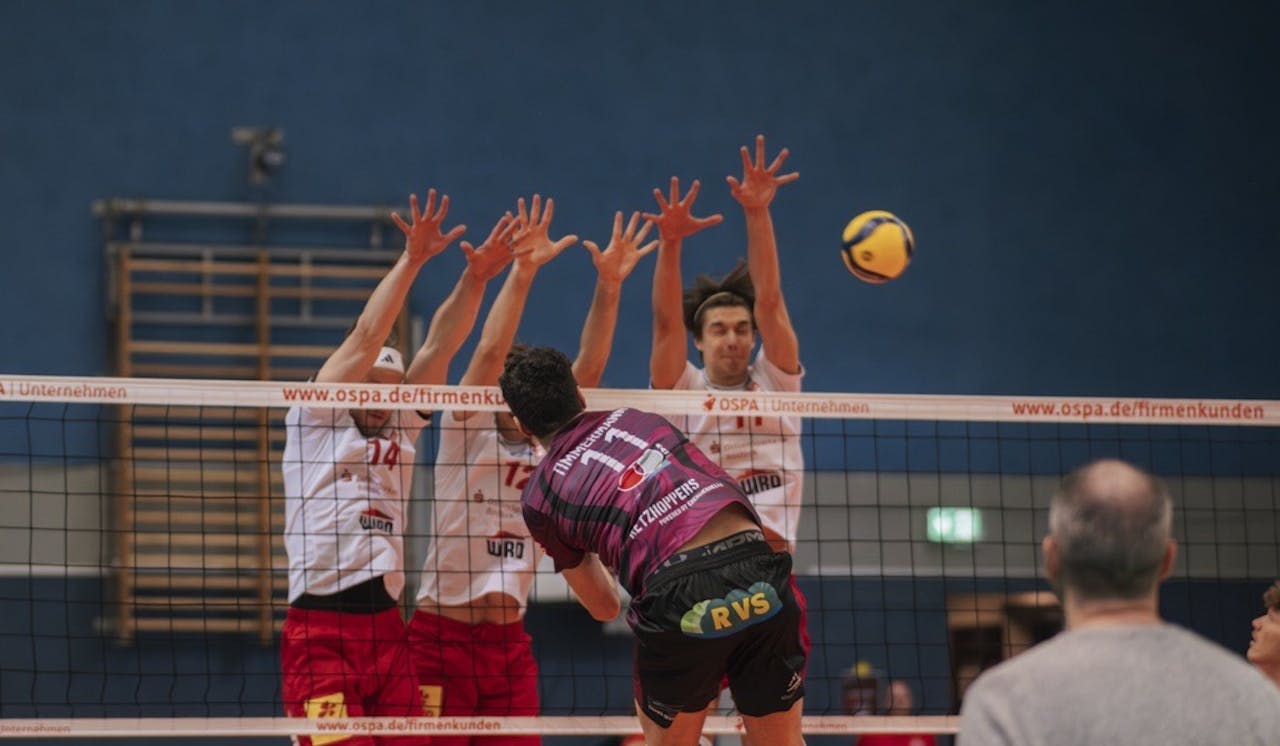 Netzhoppers trotzen Verletzungschaos - Foto:  Johannes Hofmeister