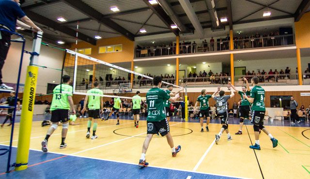 Netzhoppers auf dem Weg in die Saison 2016/17 Foto: Gerold Rebsch Netzhoppers auf dem Weg in die Saison 2016/17 - Foto: Gerold Rebsch