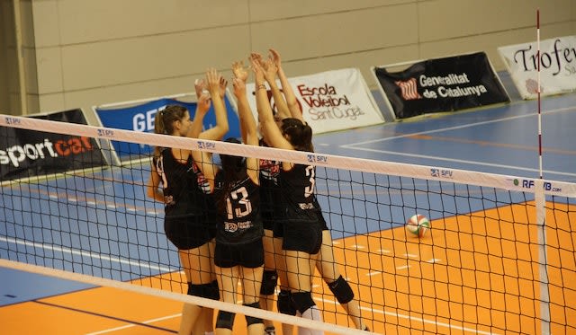 Eine große Karriere im deutschen Volleyball Foto: pixabay Eine große Karriere im deutschen Volleyball - Foto: pixabay