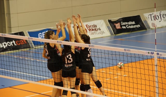 Eine große Karriere im deutschen Volleyball - Foto: pixabay