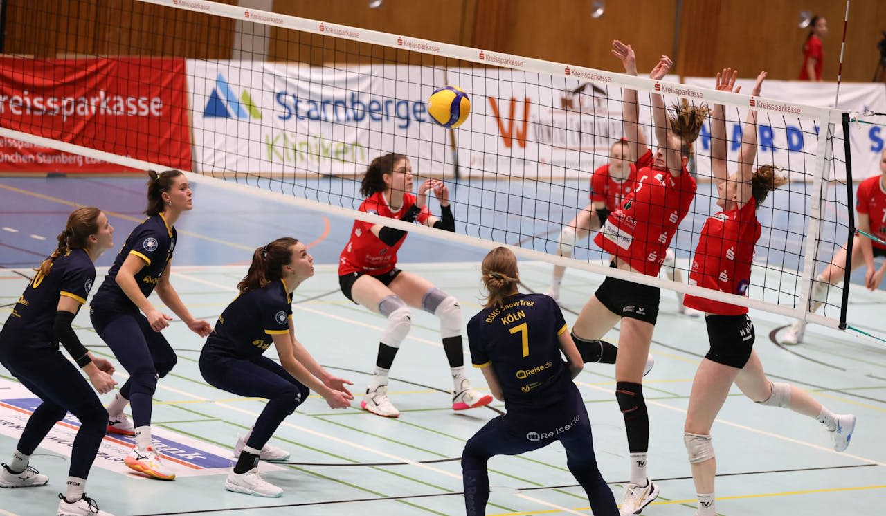 Köln ohne Punkte in Planegg: Niederlage beim TV Planegg-Krailling - Foto: Florian Zons