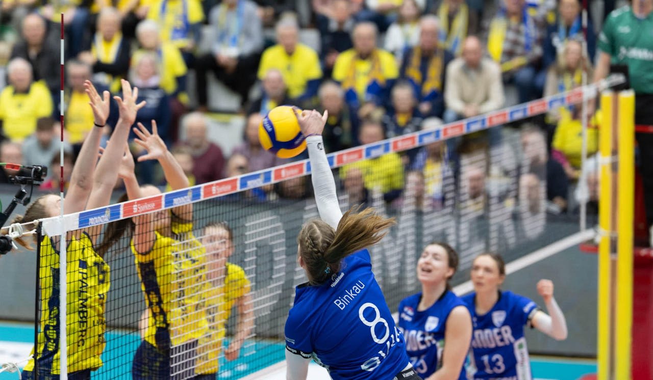 Blaubären schlagen sich wacker - Foto:  Michael Dittmer