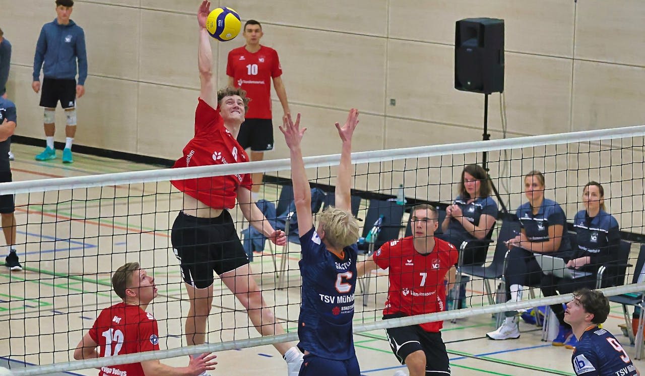 Enervigo Volleys erkämpfen Pflichtsieg - Foto:  VC Dresden/Andrè Rösler