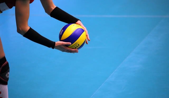 Warum sponsern Online Casinos gerne Sportarten wie Volleyball? - Bild von Tania Van den Berghen auf Pixabay