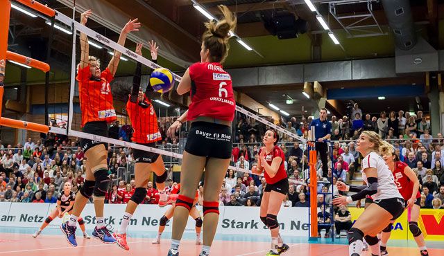 Knapp 60 Prozent des Etats von NawaRo Straubing für die 1. Liga stehen Foto: Schindler Knapp 60 Prozent des Etats von NawaRo Straubing für die 1. Liga stehen - Foto: Schindler