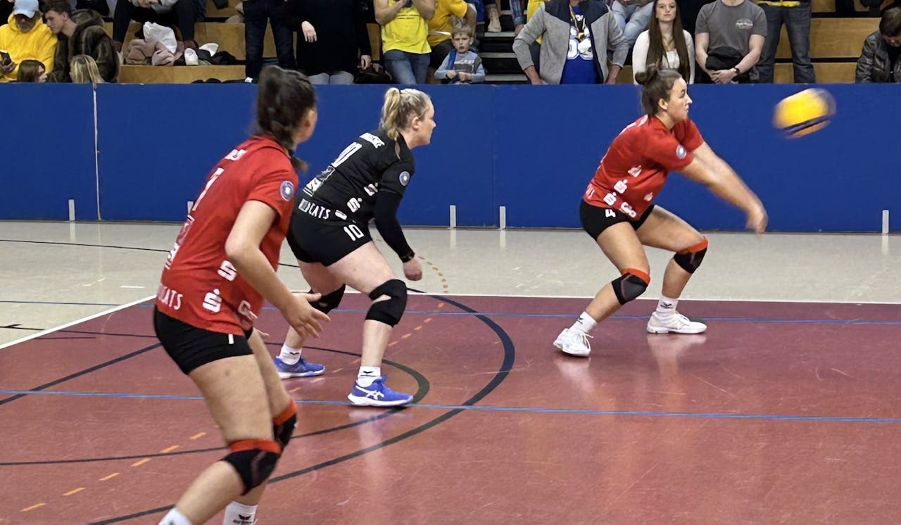 Keine Punkte in Schwerin - Foto:  Privat