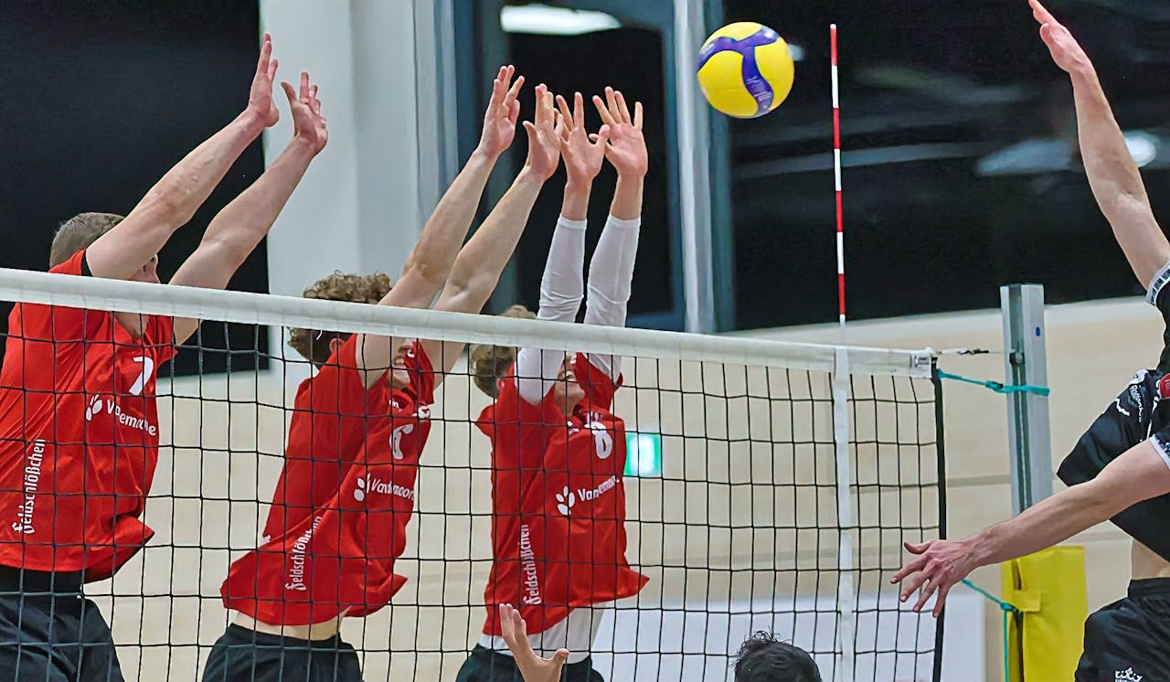 Dresden empfängt den Vizemeister 2024/25 - Foto:  VC Dresden/Frank Kleinert