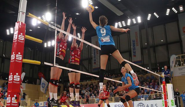 Auswärtsspiel des VCW: Dresden am Samstag Favorit Foto: Detlef Gottwald Auswärtsspiel des VCW: Dresden am Samstag Favorit - Foto: Detlef Gottwald