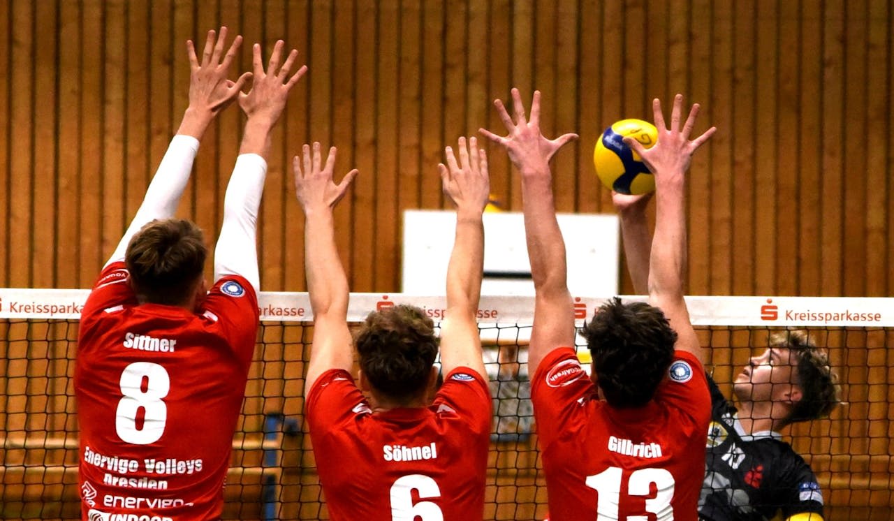 Grafing gewinnt gegen Enervigo Dresden - Foto:  TSV Grafing