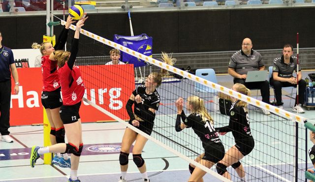 Hamburger Volleyball-Damen geben nicht auf Foto: VTH/Lehmann Hamburger Volleyball-Damen geben nicht auf - Foto: VTH/Lehmann