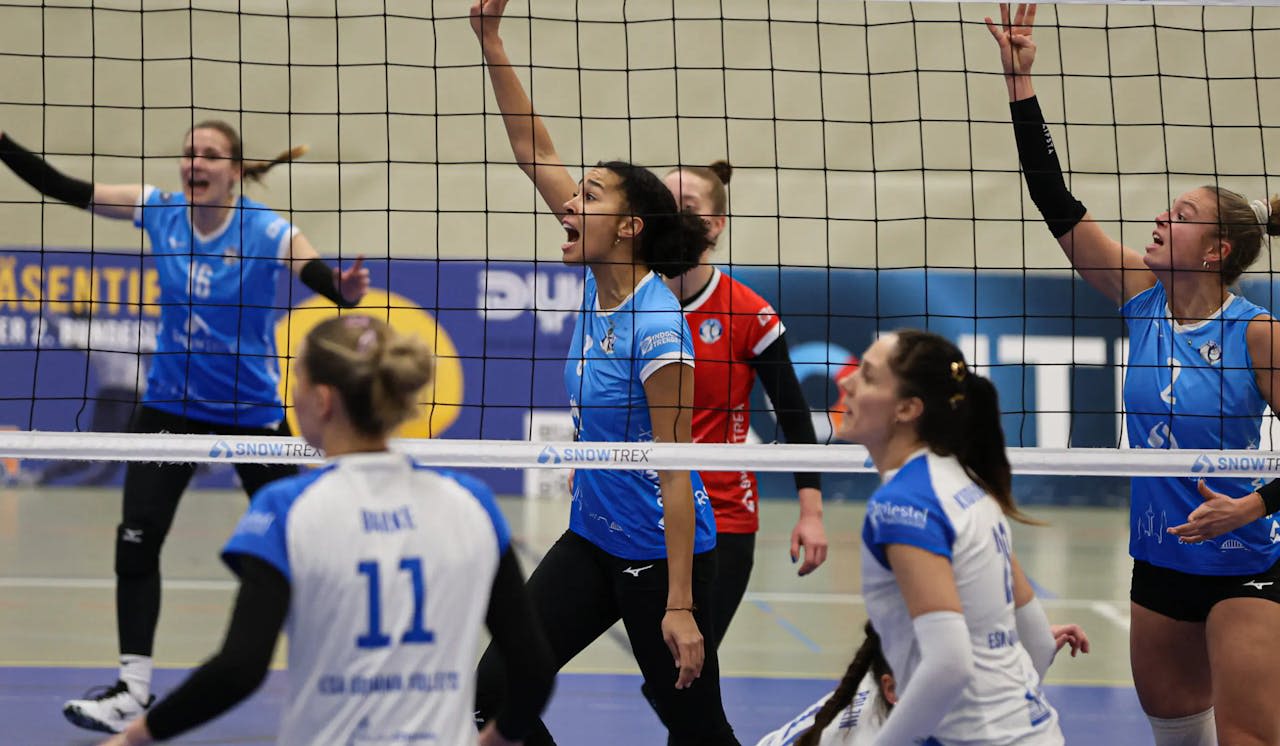 Showdown in der Muldentalhalle: DSHS SnowTrex Köln will Serie ausbauen - Grimma kämpft um die Wende - Foto: Florian Zons