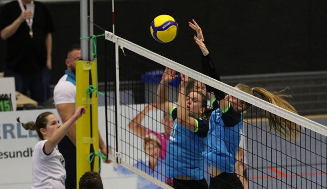 Volleyball-Team Hamburg verliert beim TSV Tempelhof-Mariendorf Foto: VT Hamburg Volleyball-Team Hamburg verliert beim TSV Tempelhof-Mariendorf - Foto: VT Hamburg