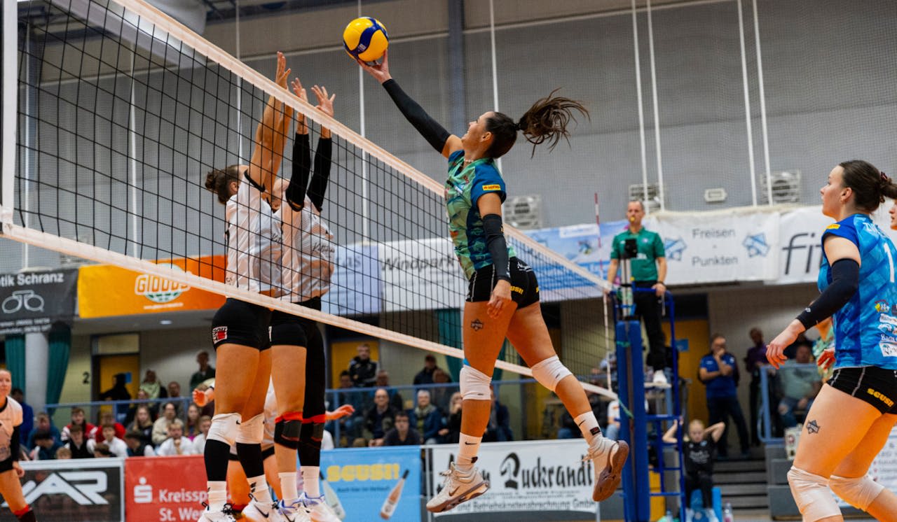 Heimauftakt für die AllgäuStrom Volleys - Foto: Nico Rosenhauer