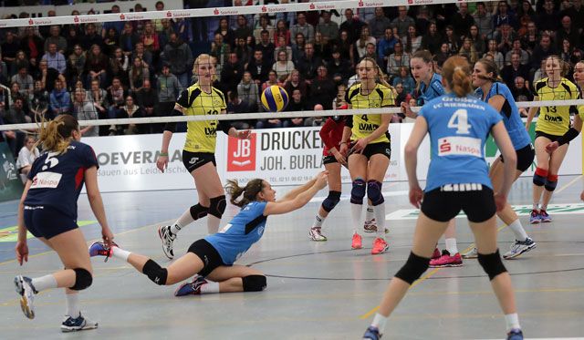 VCW unterliegt Münster in Playoff-Showdown: Wiesbadens Volleyballerinnen beenden Saison auf Platz 5 Foto: Detlef Gottwald VCW unterliegt Münster in Playoff-Showdown: Wiesbadens Volleyballerinnen beenden Saison auf Platz 5 - Foto: Detlef Gottwald