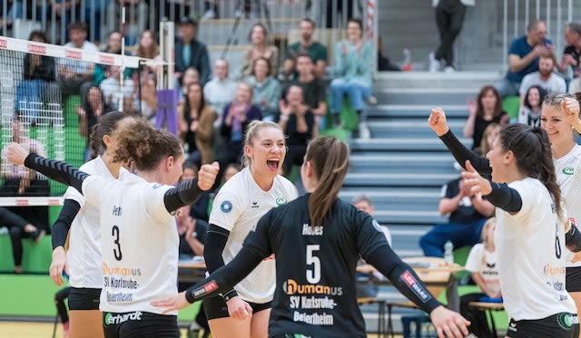 Dingos zu Gast in Karlsruhe - Foto:  Stefan Mayer