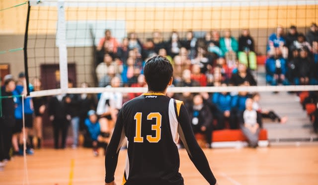 Wettanbieter Vergleich: Die besten Wettanbieter für Volleyball-Wetten 2022 - Photo by Erik Mclean on Unsplash