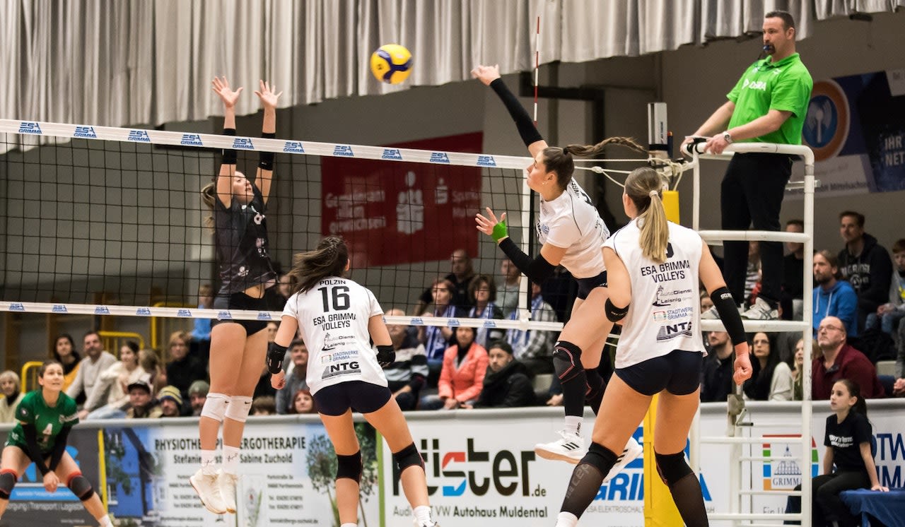 Heimsieg der ESA Grimma Volleys - Foto:  memofotografie