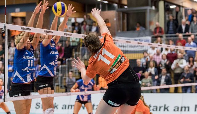NawaRo Straubing bot Offenburg einen heißen Fight Foto: Schindler NawaRo Straubing bot Offenburg einen heißen Fight - Foto: Schindler