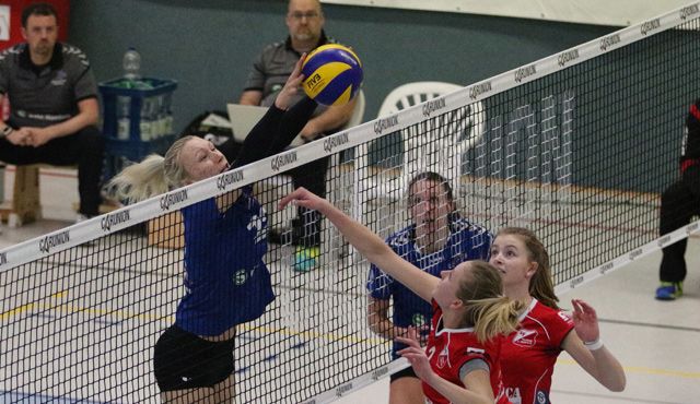 Keine Punkte fürs Volleyball-Team Hamburg Foto: VTH/Lehmann Keine Punkte fürs Volleyball-Team Hamburg - Foto: VTH/Lehmann