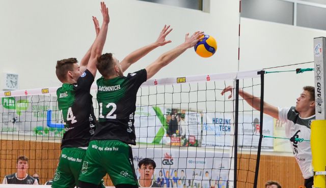 Die Netzhoppers können das Doppelspielwochenende mit drei Punkten beenden Foto: Dagmar Jaschen Die Netzhoppers können das Doppelspielwochenende mit drei Punkten beenden - Foto: Dagmar Jaschen