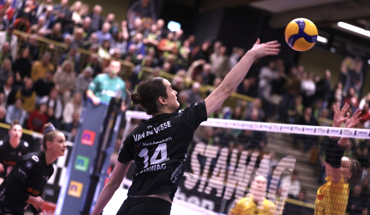 Suhl verdient drei Punkte mit Effizienz Foto: LiB Aachen// Andreas Steindl Suhl verdient drei Punkte mit Effizienz - Foto: LiB Aachen// Andreas Steindl