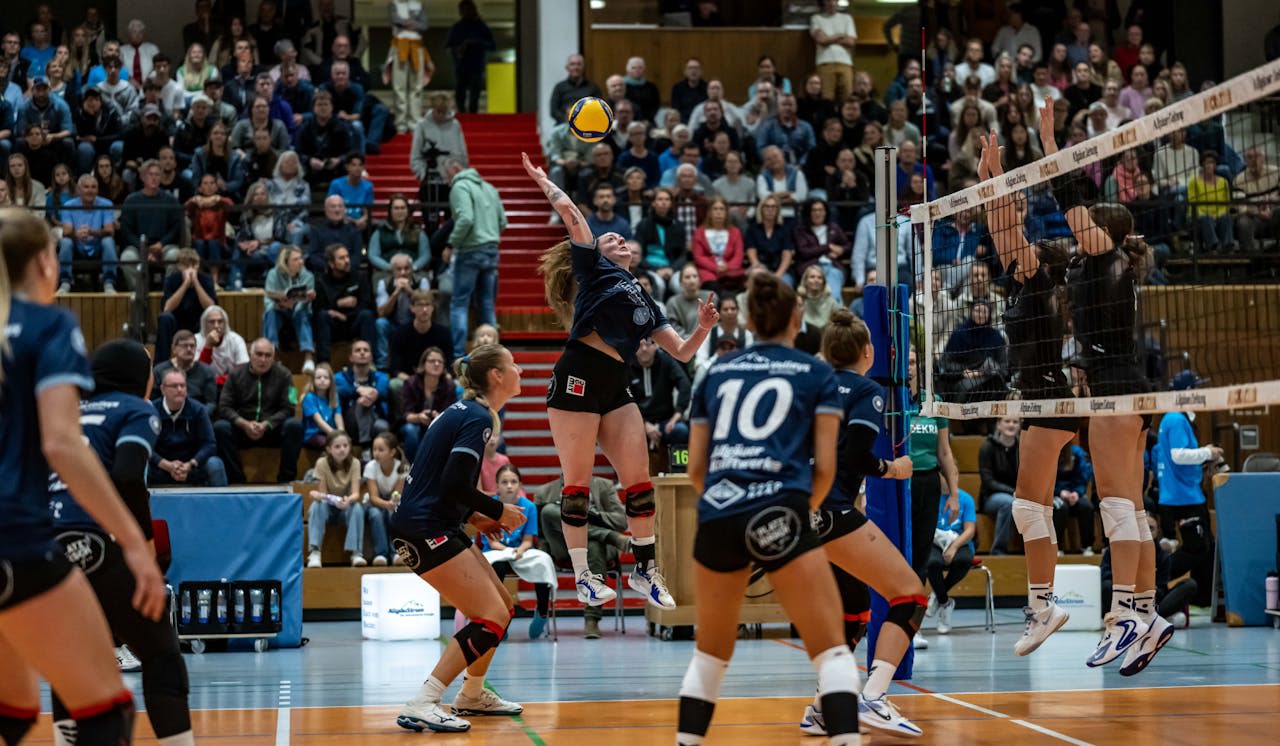 ASV will Siegesserie fortsetzen - Foto: Dominik Berchtold