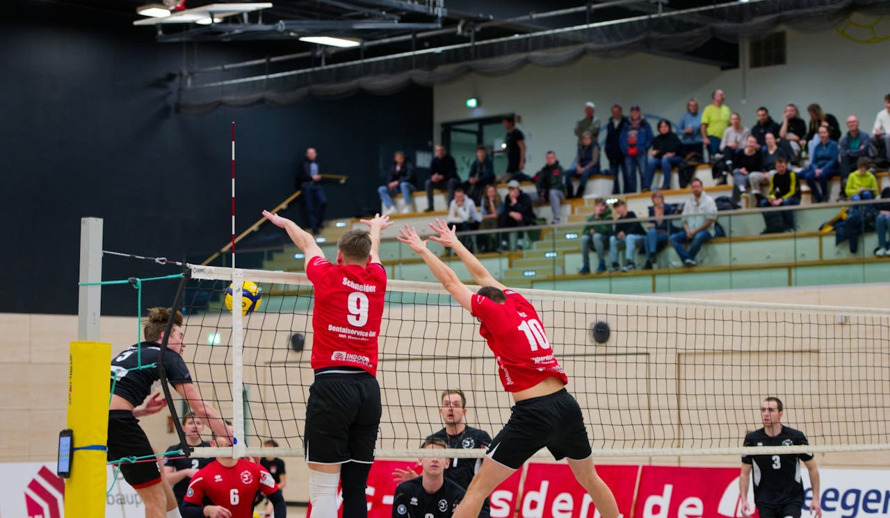 Dresden empfängt den amtierenden Meister - Foto:  VC Dresden