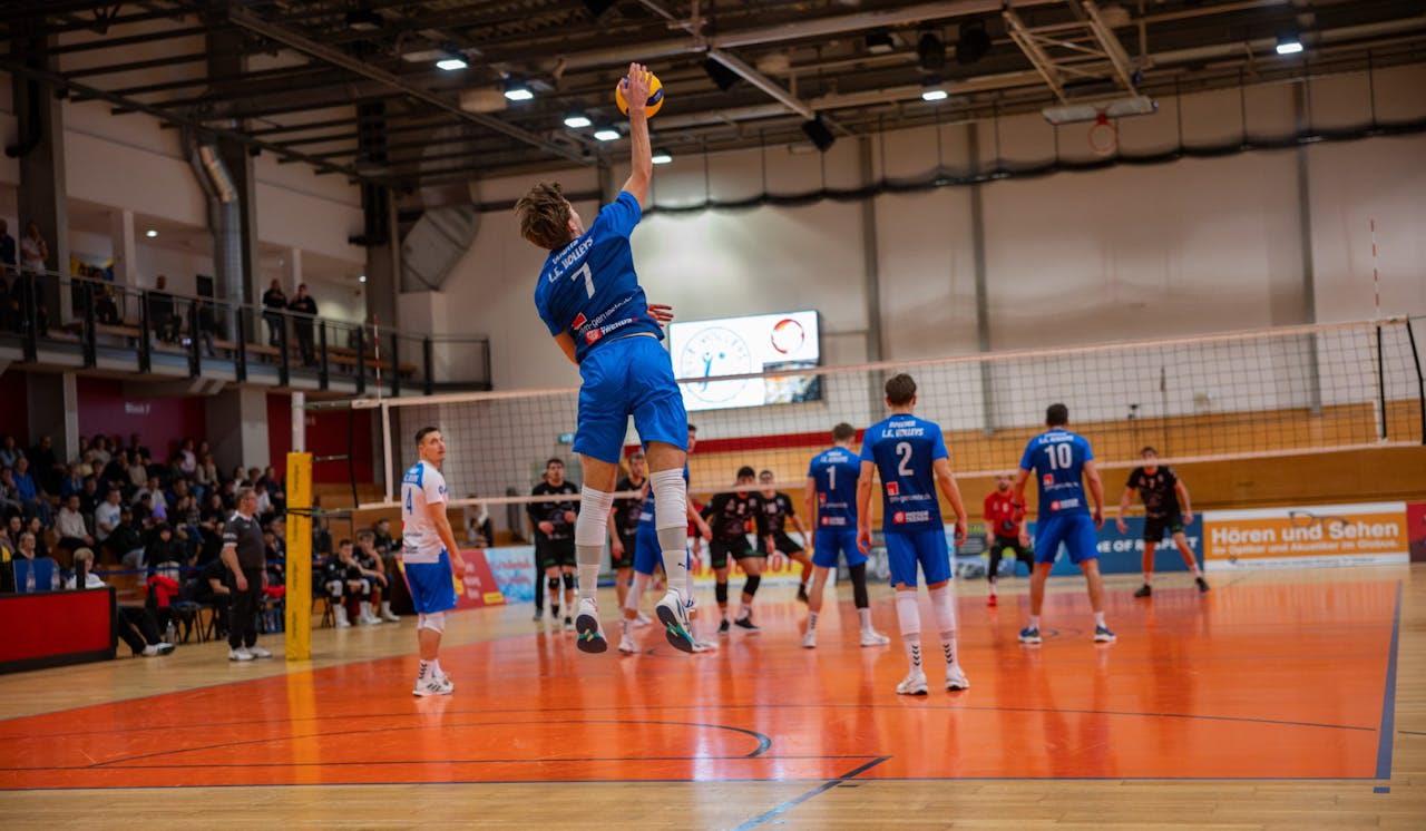 L.E. Volleys wollen zurück in die Spur - Foto:  iSebby