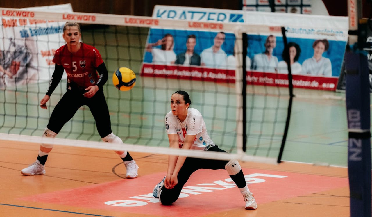 BF Volleys vor kniffliger Heimaufgabe - Foto:  Pascal Bähr