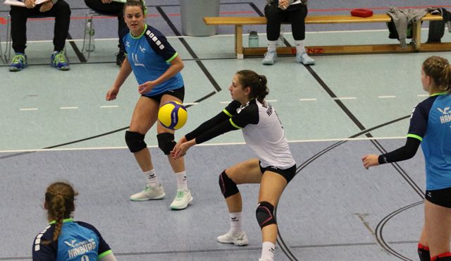 Volleyball-Team Hamburg verpasst Punktgewinn in Kiel - Foto: VTH