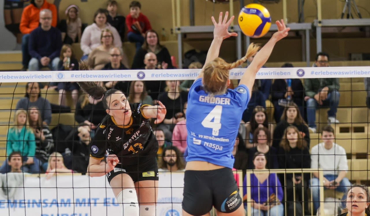 Potsdam mit ganz starkem Auftritt beim VCW Foto: Detlef Gottwald/DG Fotografie Potsdam mit ganz starkem Auftritt beim VCW - Foto: Detlef Gottwald/DG Fotografie