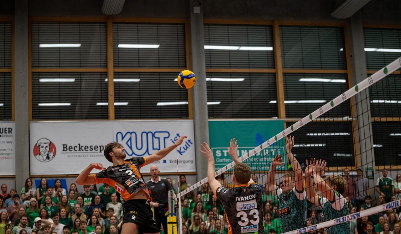 Malescha fegt durch den Dschungel - Foto:  Stepfan Tapken