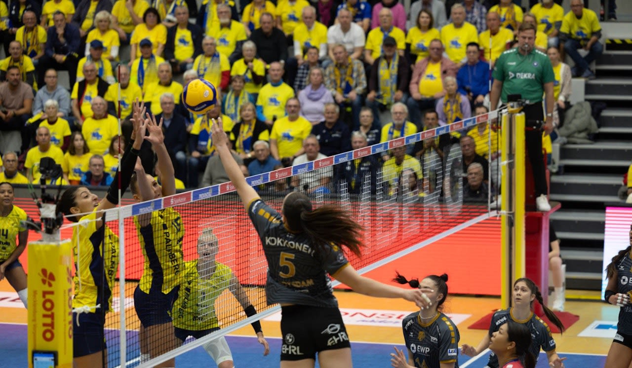 SSC begrüßt Potsdam zum 1. Halbfinale - Foto:  SSC Michael Dittmer