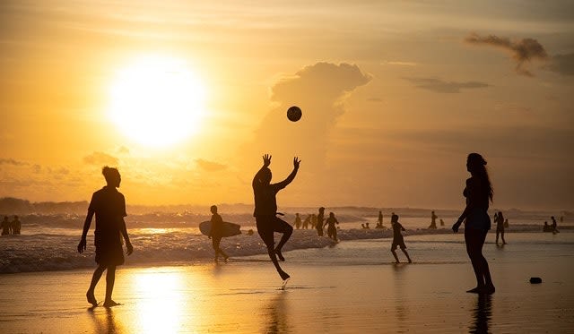 Worauf wettet man eigentlich beim Volleyball? - Bild von Peggy und Marco Lachmann-Anke auf Pixabay 