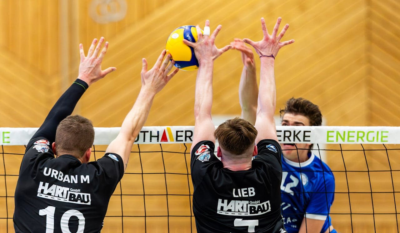 Blue Volleys Gotha testen gegen Eltmann - Foto:  Christian Heilwagen